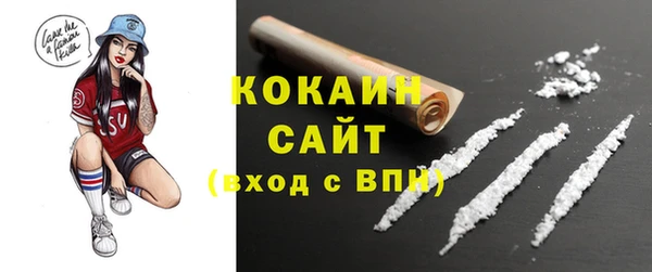 шишки Пестово
