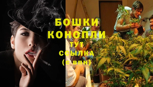 PSILOCYBIN Березники