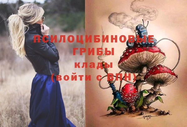 ГАЛЛЮЦИНОГЕННЫЕ ГРИБЫ Остров