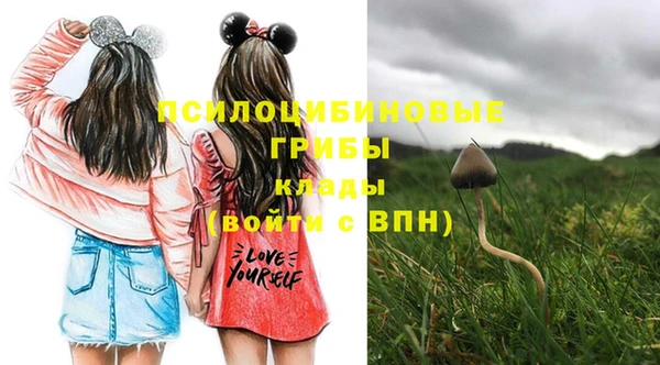 шишки Пестово