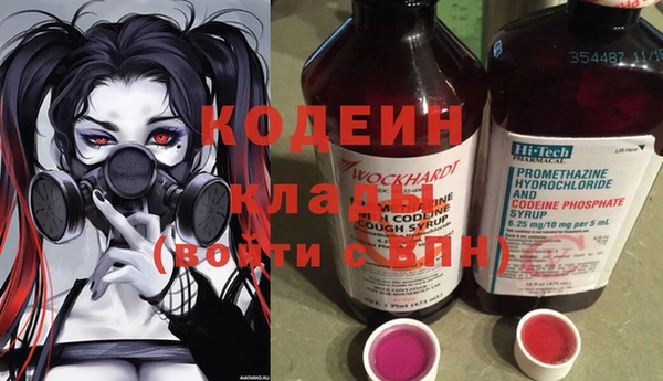 шишки Пестово