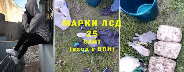 шишки Пестово