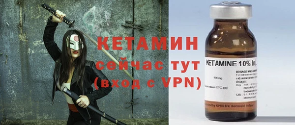 шишки Пестово