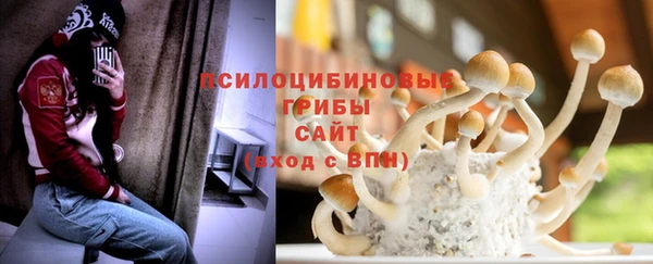 кокс Пересвет