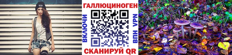 Псилоцибиновые грибы Psilocybe  дарнет шоп  Кувшиново 